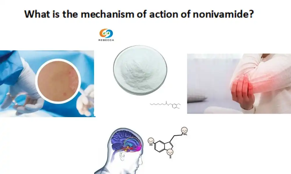 What is the mechanism of action of nonivamide?